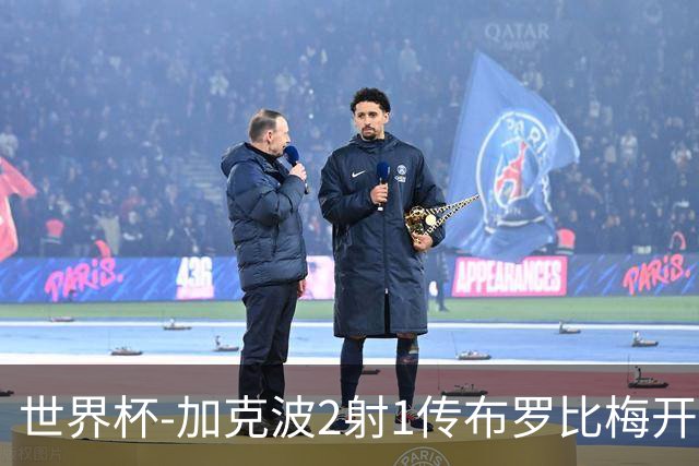 世界杯-加克波2射1传布罗比梅开二度 荷兰5-1大胜瑞典